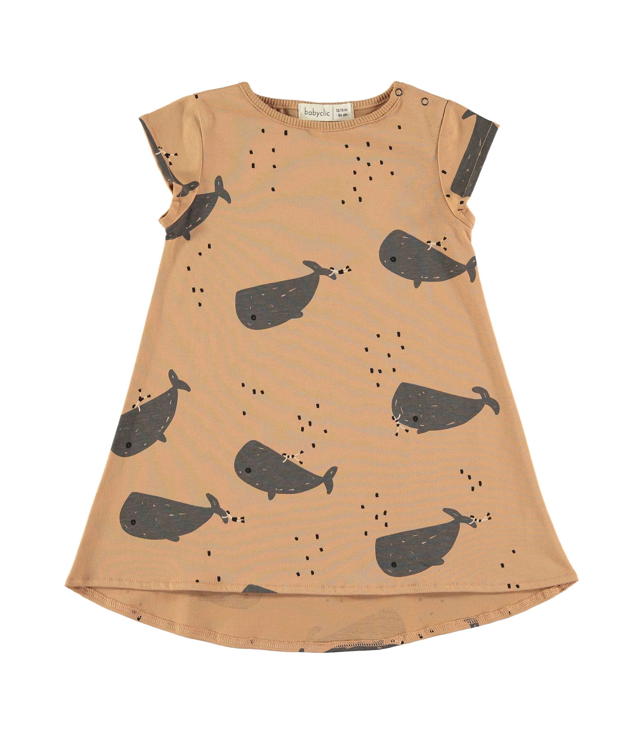 Dress Whale - Daily Monkeys